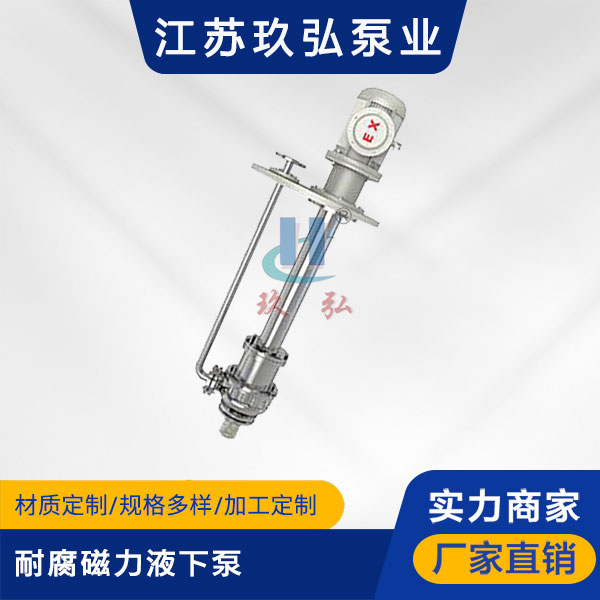 HYC耐腐磁力液下泵(图1)