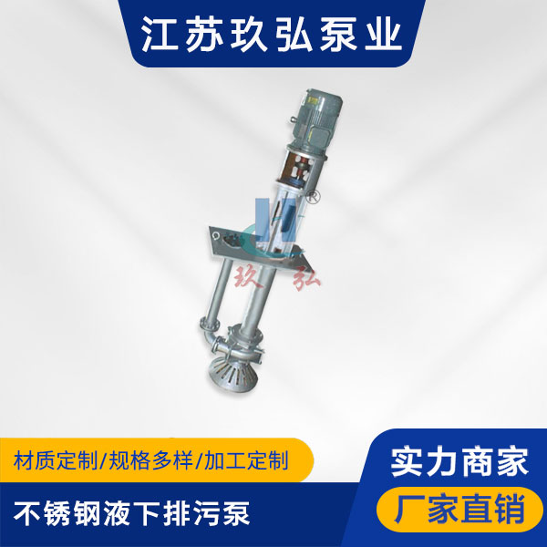 KBW不锈钢液下排污泵(图1)