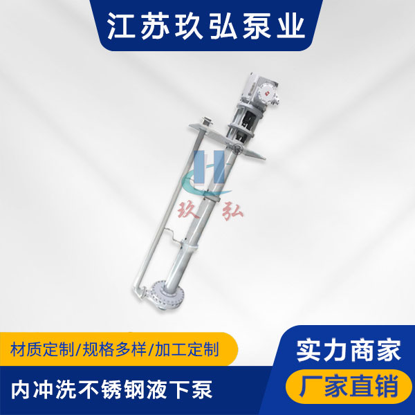LY内冲洗不锈钢长轴液下泵(图1)