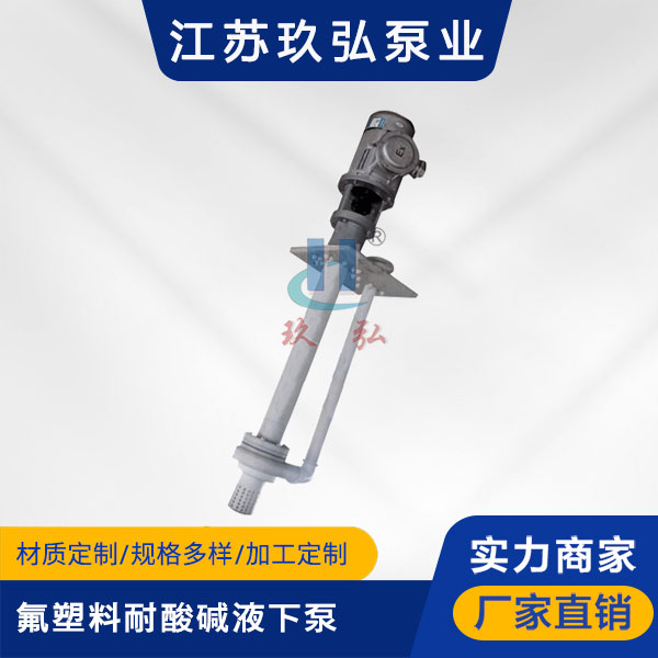 FYS氟塑料耐酸碱液下泵(图1)