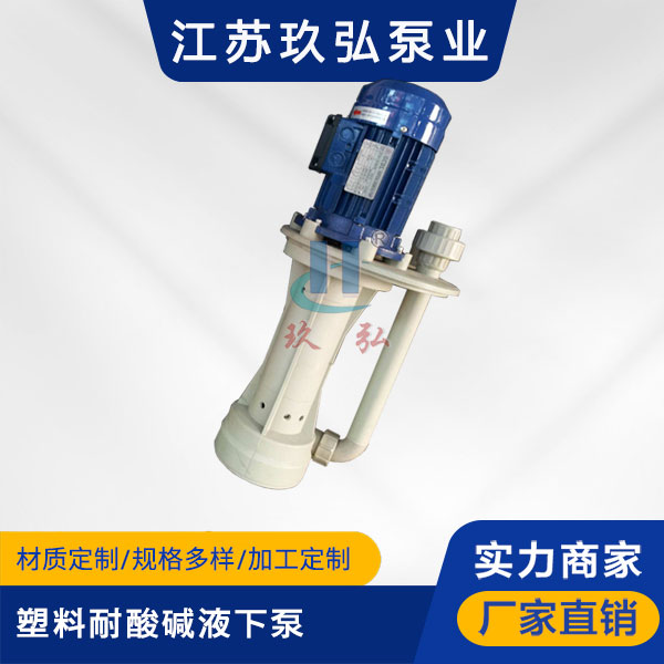 TPT塑料耐酸碱液下泵(图1)