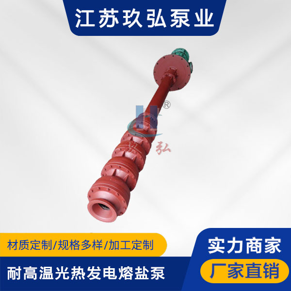 RY耐高温光热发电熔盐泵(图1)