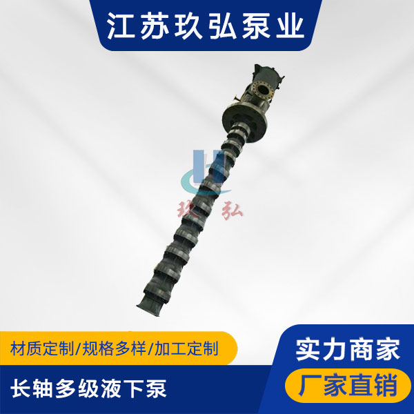 HLC长轴多级液下泵(图1)