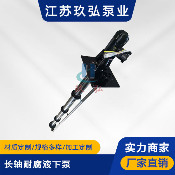 FYL长轴液下泵(图1)