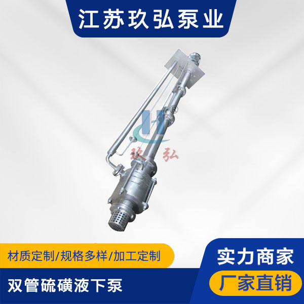 DLY双管硫磺液下泵(图1)