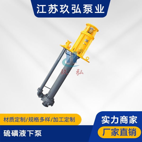 LHY型硫磺液下泵(图1)