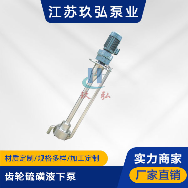 ATY齿轮硫磺液下泵【液硫泵】(图1)