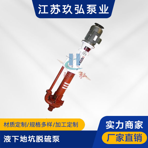 PLC液下地坑脱硫泵(图1)