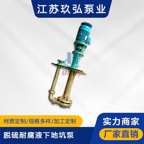 PLC脱硫地坑液下泵(图1)