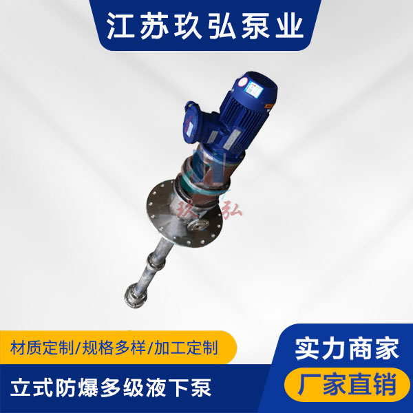 HDY立式防爆多级液下泵(图1)
