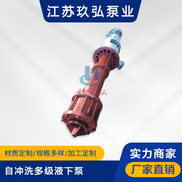 DLY自冲洗多级液下泵(图1)