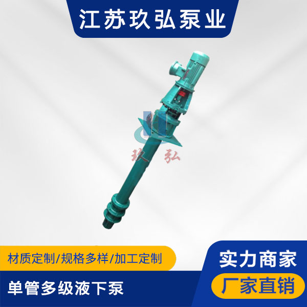 DLY-II单管多级液下泵(图1)
