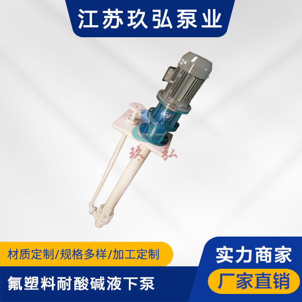 FYS型耐腐耐磨液下泵(图1)