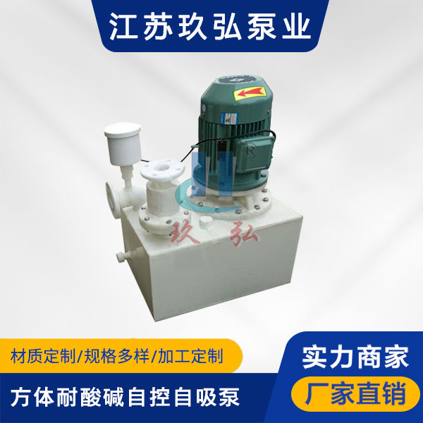 WFB方体型耐酸碱自控自吸泵(图1)