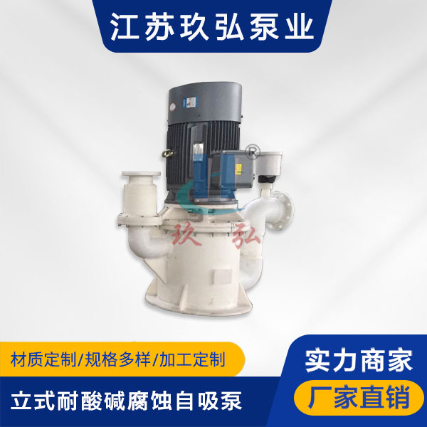 WFB立式耐酸碱腐蚀自吸泵(图1)