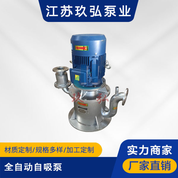 WFB全自动自吸泵(图1)