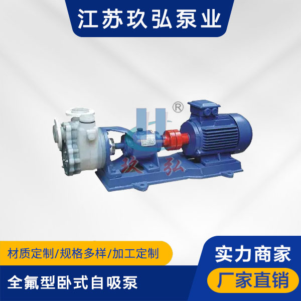 FZB全氟型卧式自吸泵(图1)
