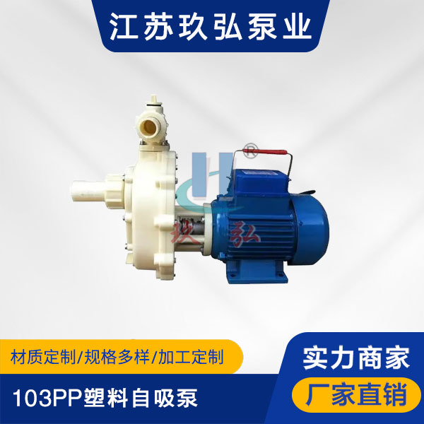 103PP塑料自吸泵(图1)