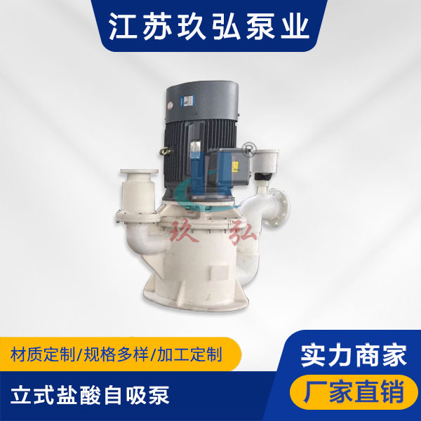WFB立式盐酸自吸泵(图1)