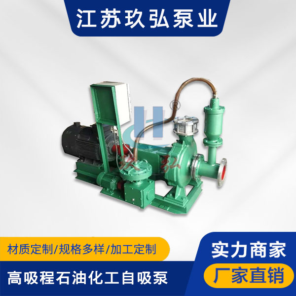 TZFB-II高吸程石油化工自吸泵(图1)