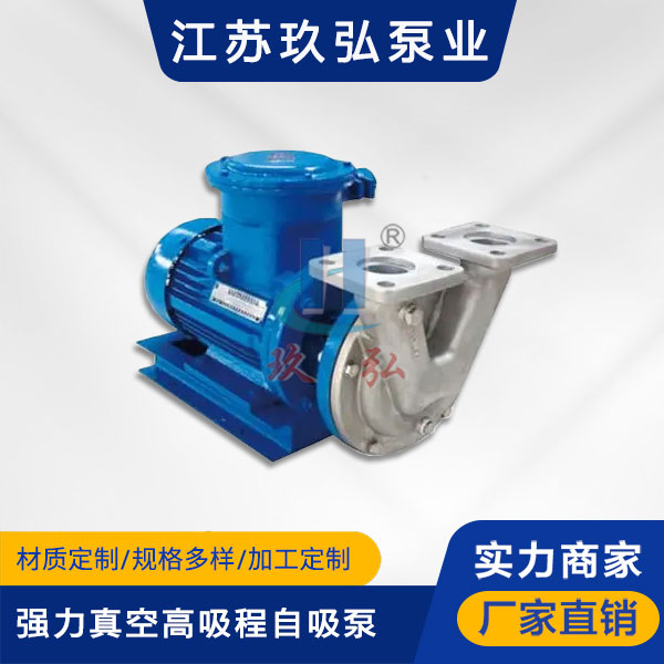 VSP强力真空高吸程自吸泵(图1)