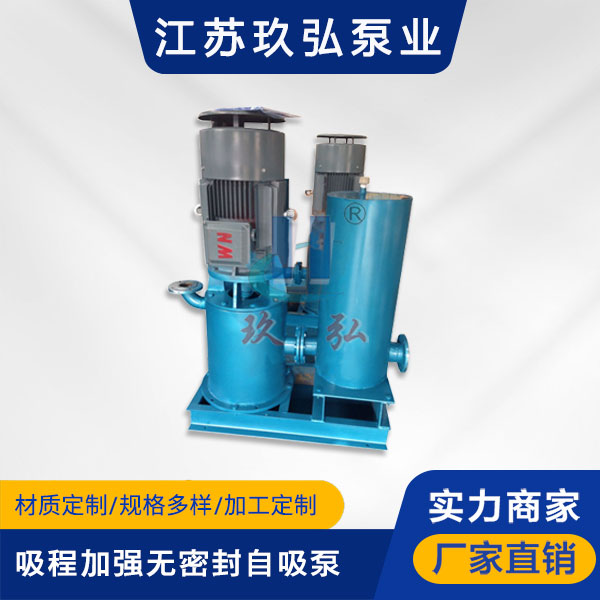 WFB吸程加强型无密封自吸泵(图1)