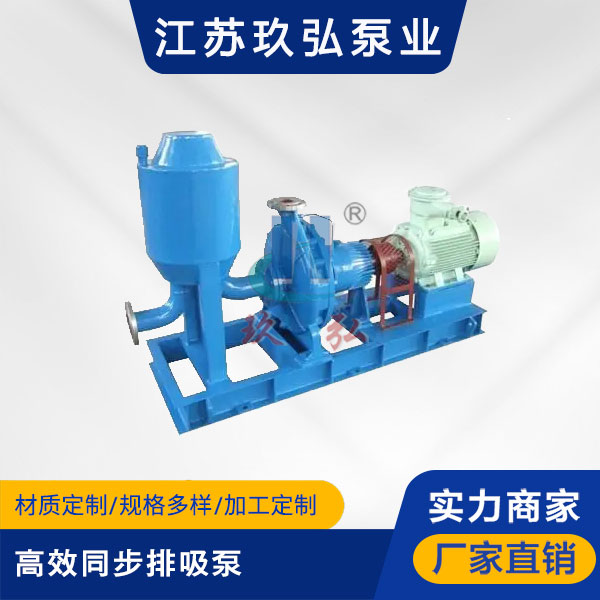 TBZB高效同步排吸泵(图1)