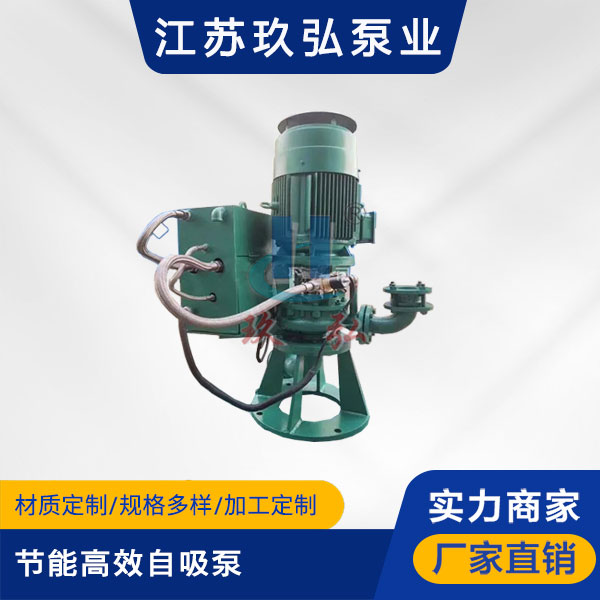 GLB节能高效自吸泵(图1)