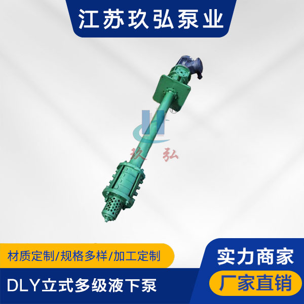 DLY立式多级液下泵(图1)
