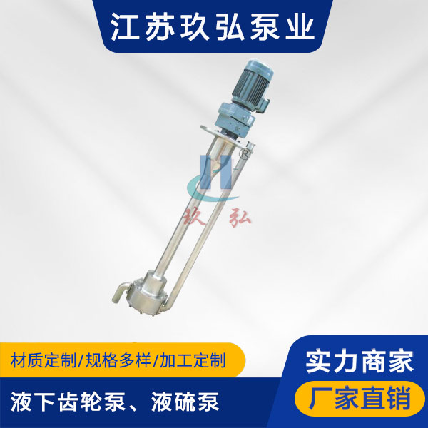 ATY液下齿轮泵、液硫泵(图1)