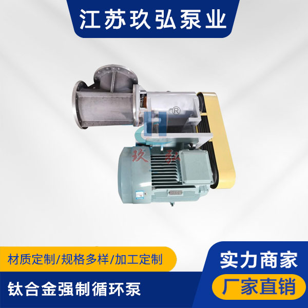 FJX-Ⅱ型钛合金强制循环泵(图1)