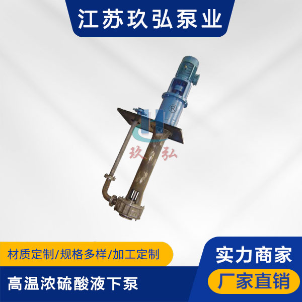 LSB高温浓硫酸液下泵(图1)