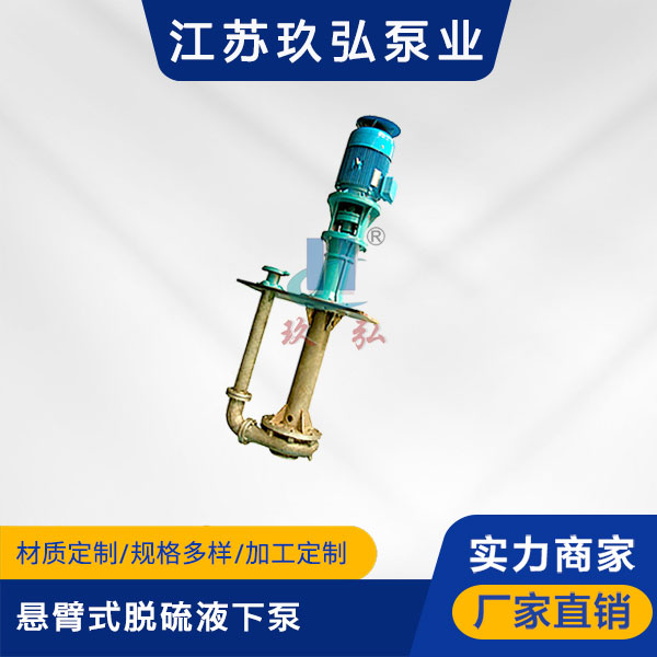 PLC悬臂式脱硫液下泵(图1)