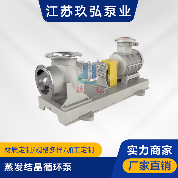 FJX蒸发结晶循环泵(图1)