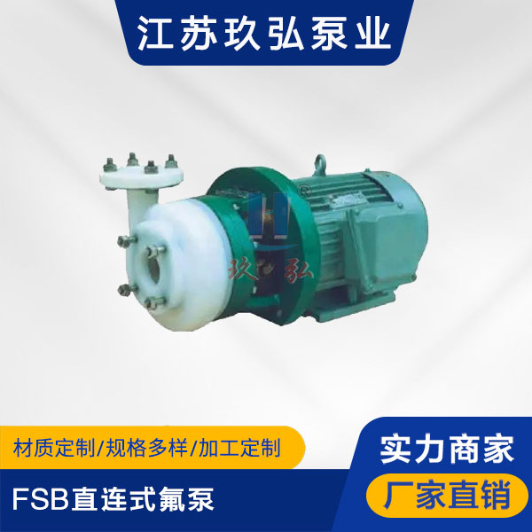 FSB直连式氟泵(图1)