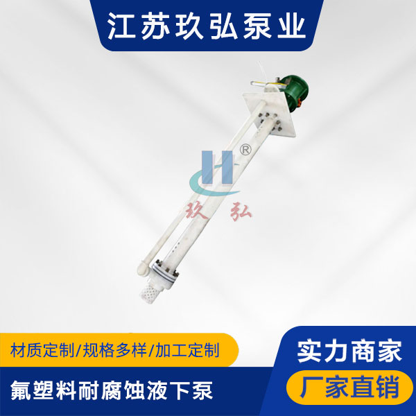 FYS氟塑料耐腐蚀液下泵(图1)
