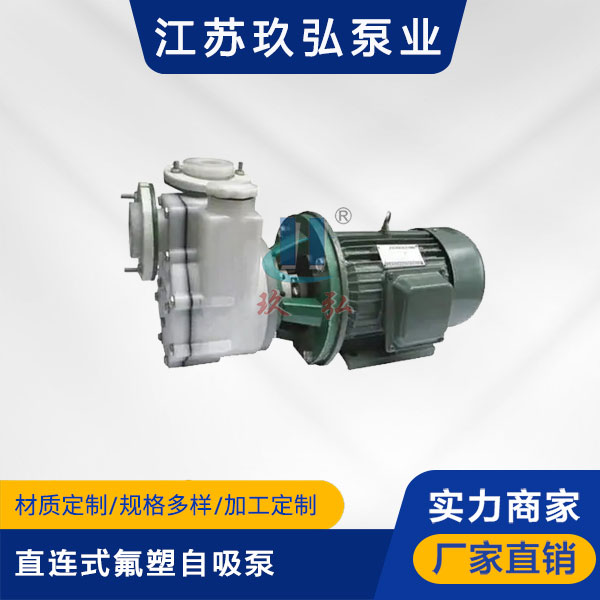 FZB-Ⅱ直连式氟塑自吸泵(图1)