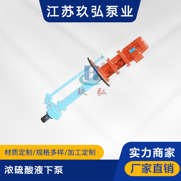 GBY浓硫酸液下泵(图1)