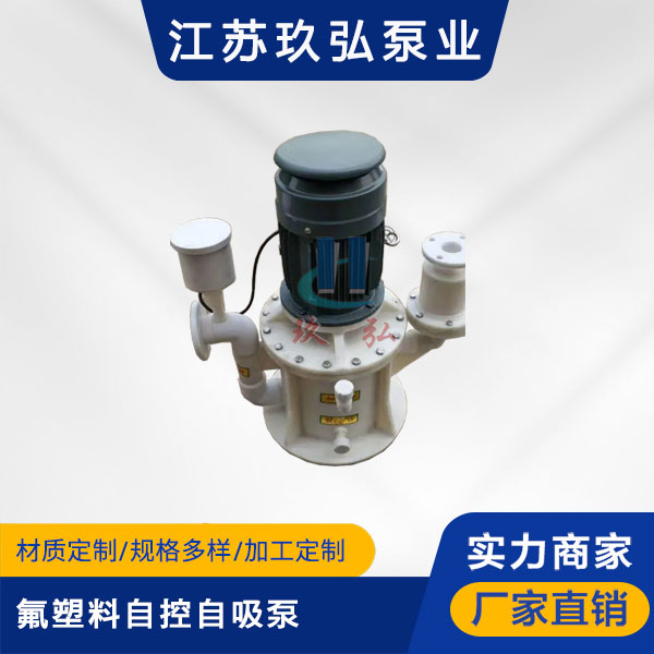 WFB氟塑料自控自吸泵(图1)
