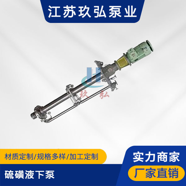 LHY硫磺液下泵【液硫泵】(图1)