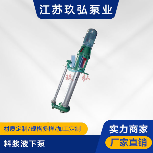 LJYA料浆液下泵(图1)