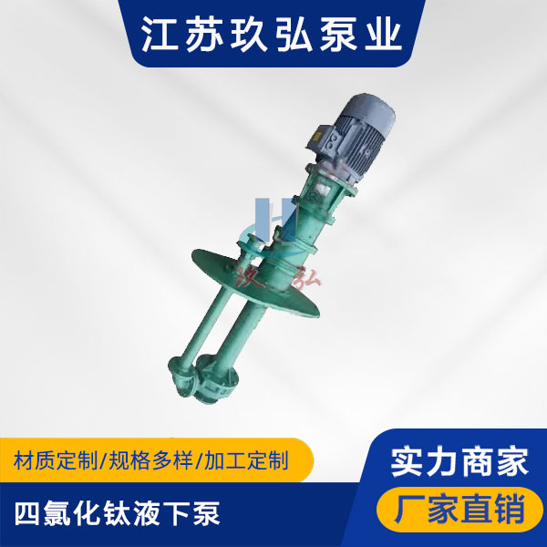 HYT四氯化钛液下泵（机械密封）(图1)