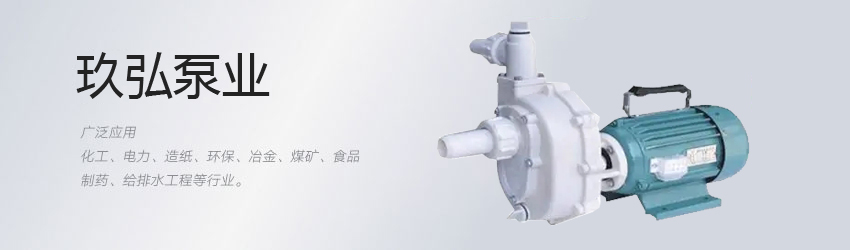 氟塑料自吸泵