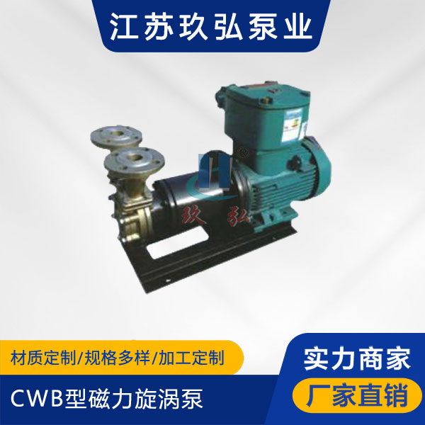 CWB型磁力旋涡泵(图1)