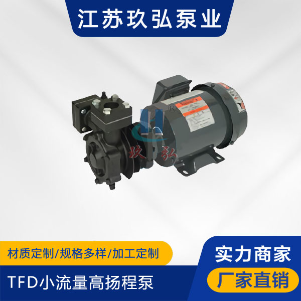 TFD小流量高扬程泵(图1)