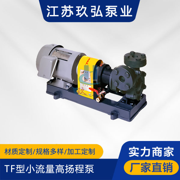 TF型小流量高扬程泵(图1)
