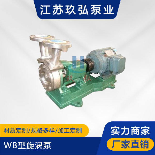 WB旋涡泵(图1)